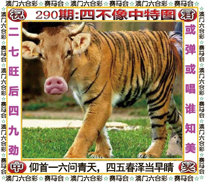 新澳门生肖彩