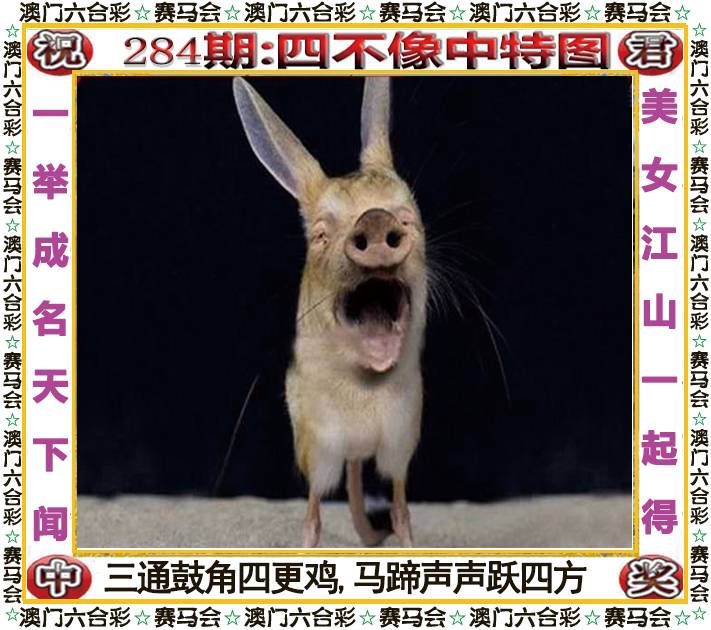 新澳门生肖彩