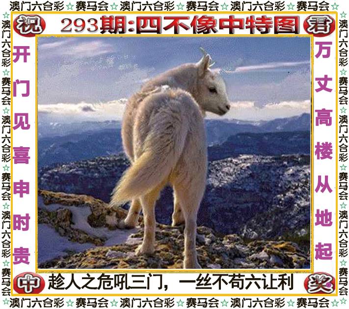 新澳门生肖彩