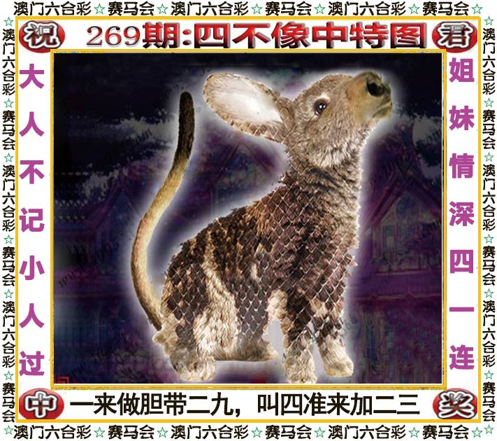 新澳门生肖彩