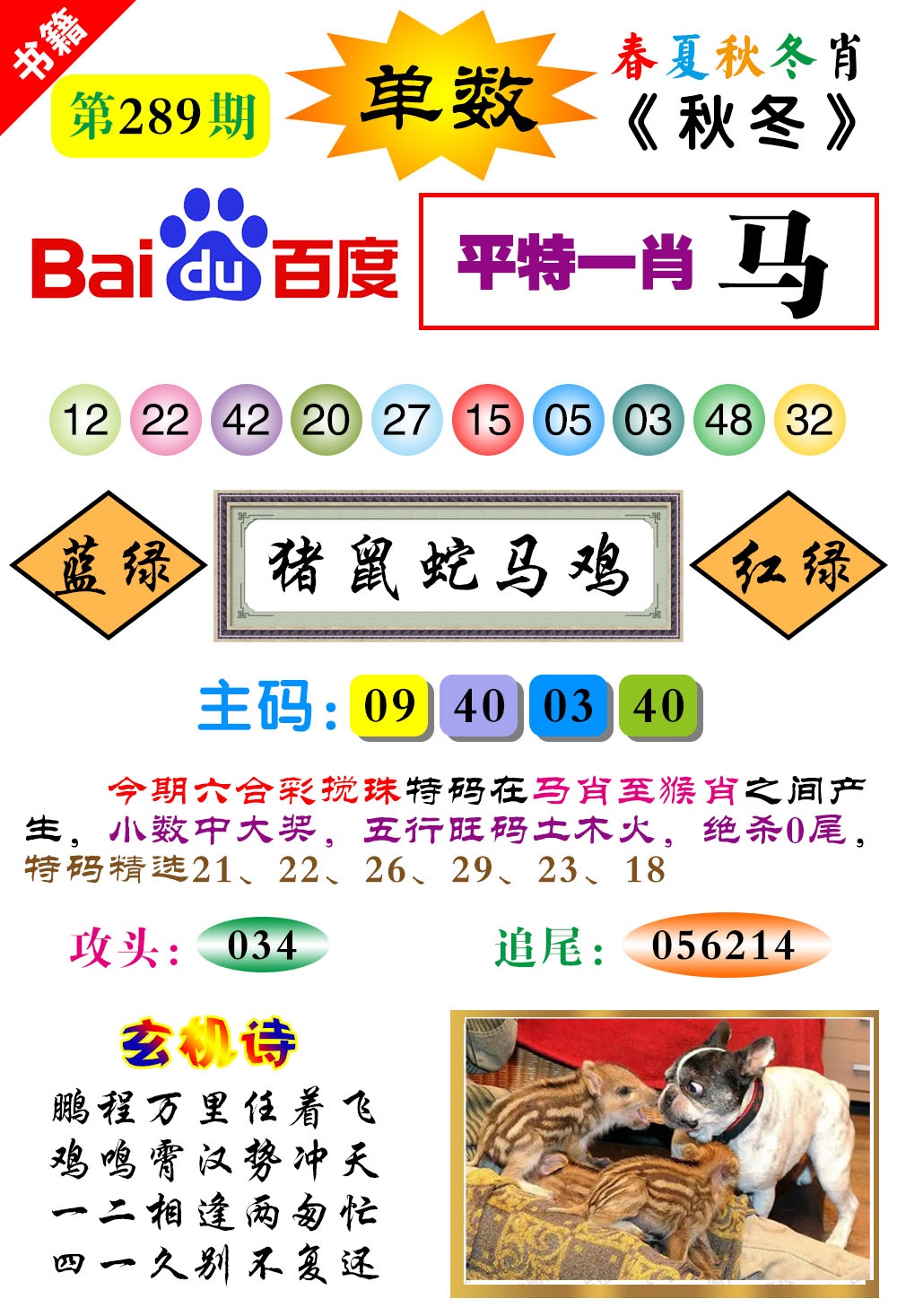 新澳门生肖彩