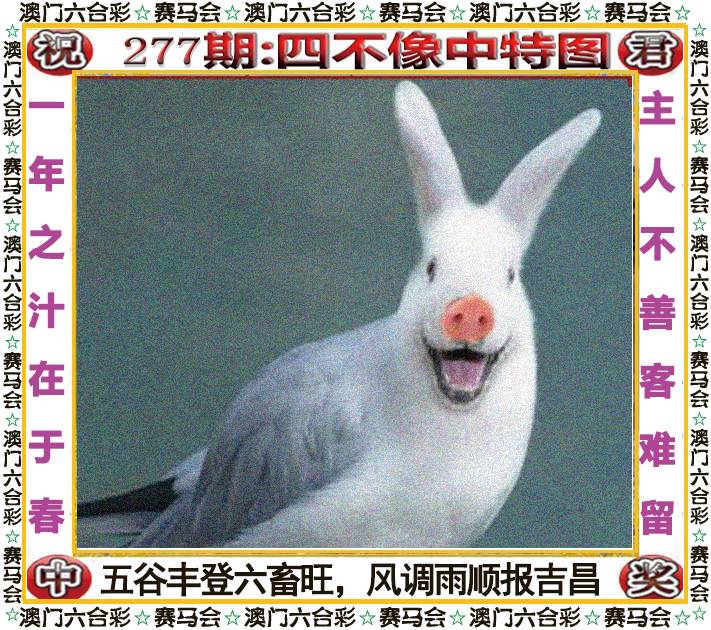 新澳门生肖彩