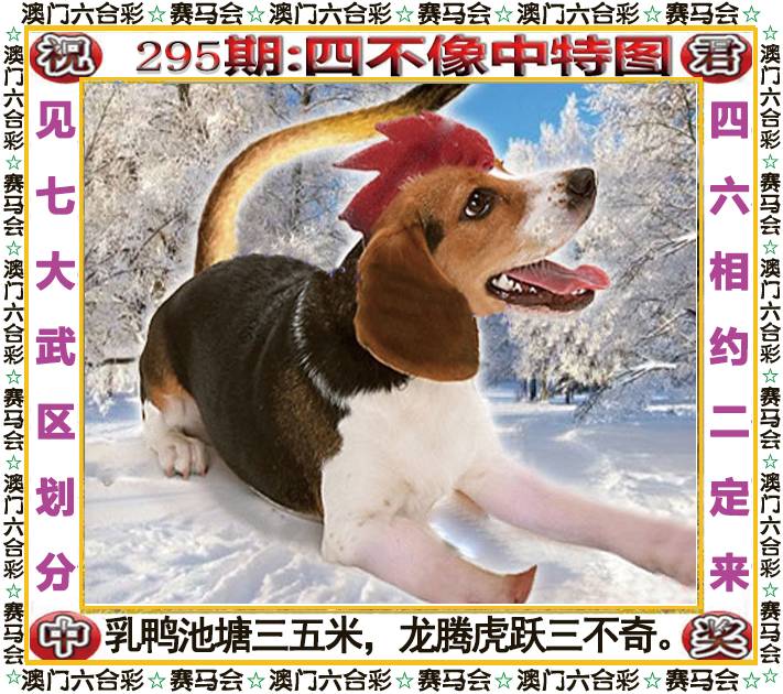 新澳门生肖彩