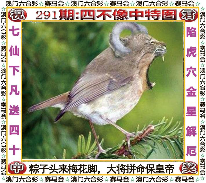 新澳门生肖彩