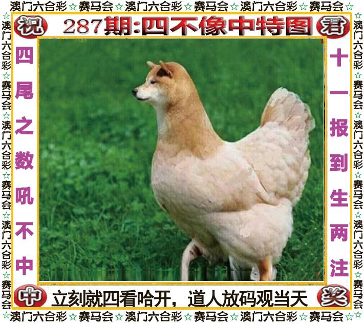 新澳门生肖彩
