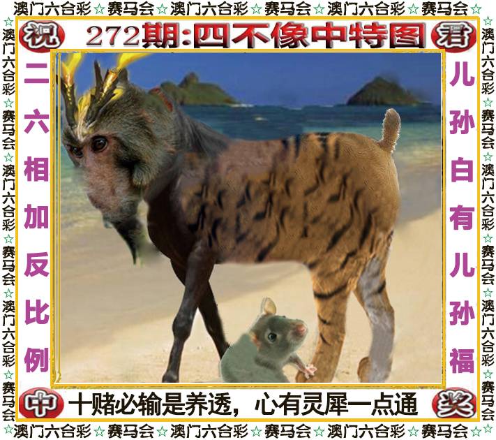 新澳门生肖彩