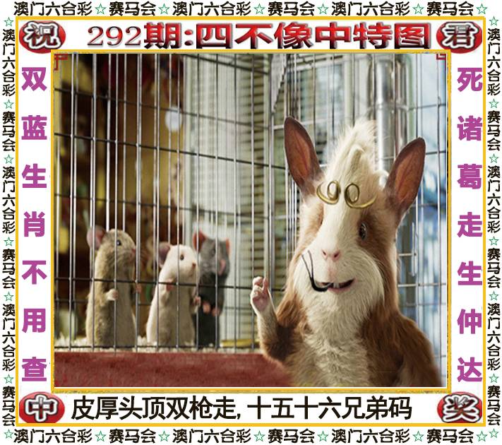 新澳门生肖彩