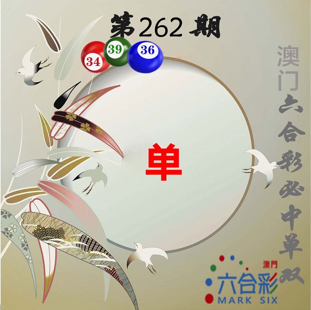 图片资料 6