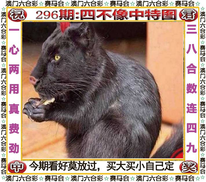 新澳门生肖彩