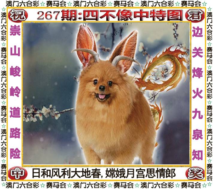 新澳门生肖彩
