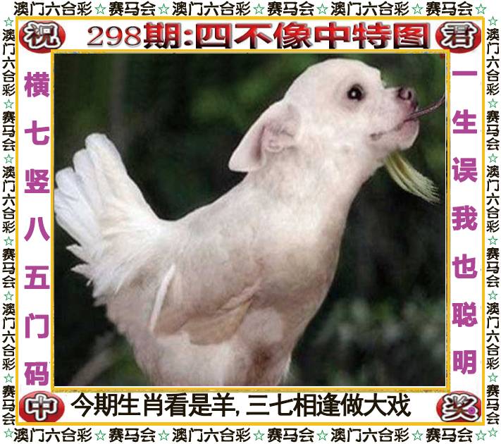 新澳门生肖彩
