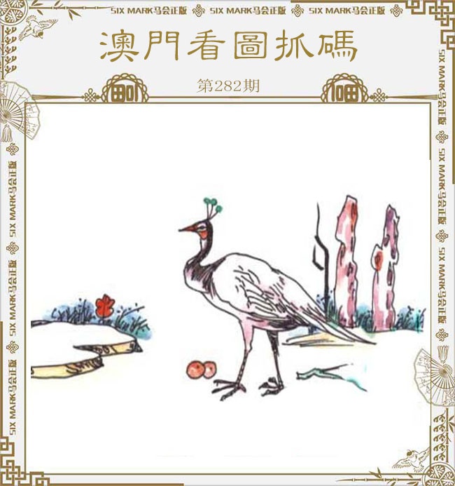 新澳门生肖彩