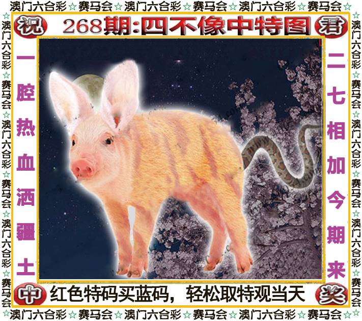 新澳门生肖彩