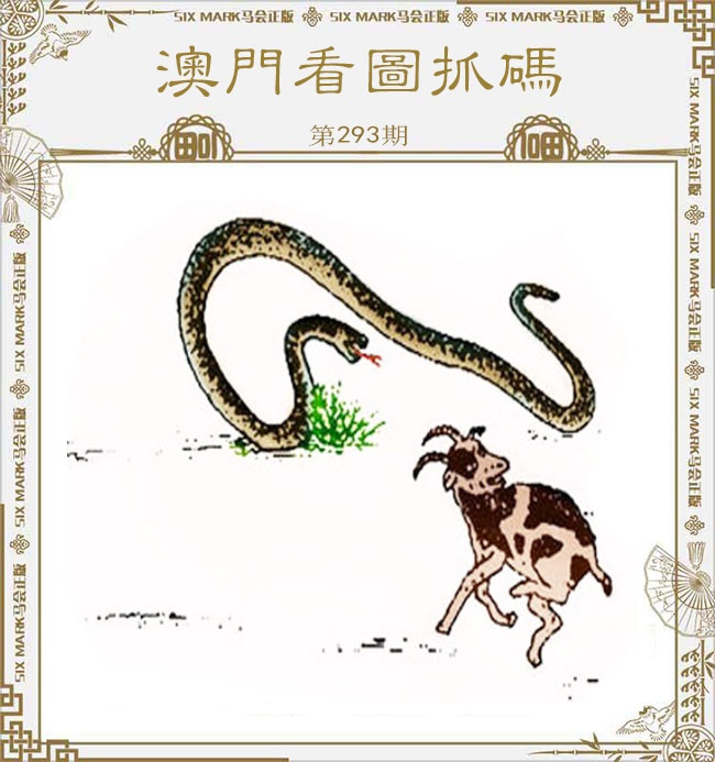 新澳门生肖彩