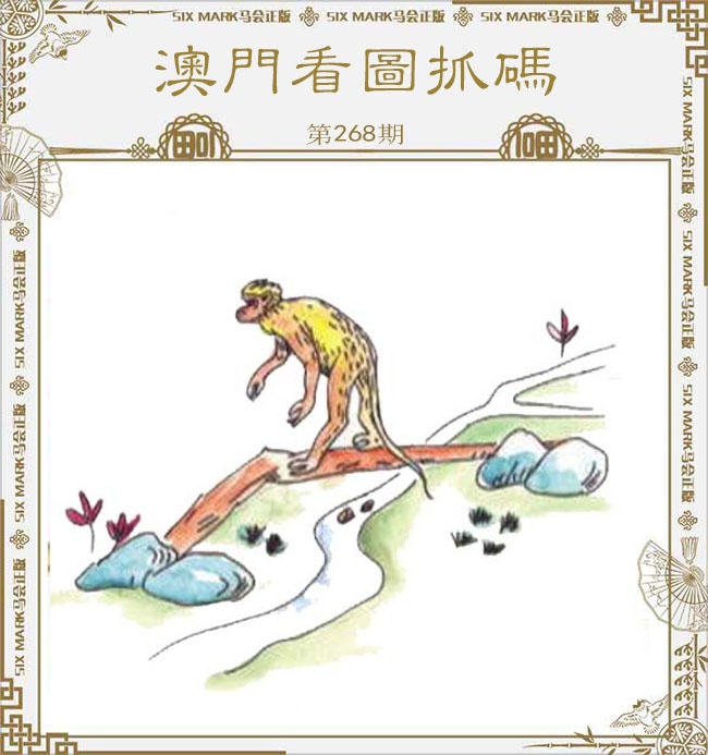 新澳门生肖彩