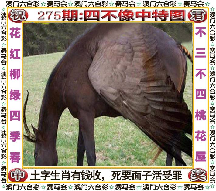 新澳门生肖彩