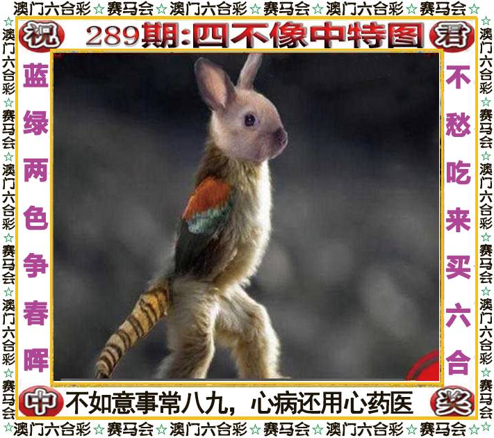 新澳门生肖彩