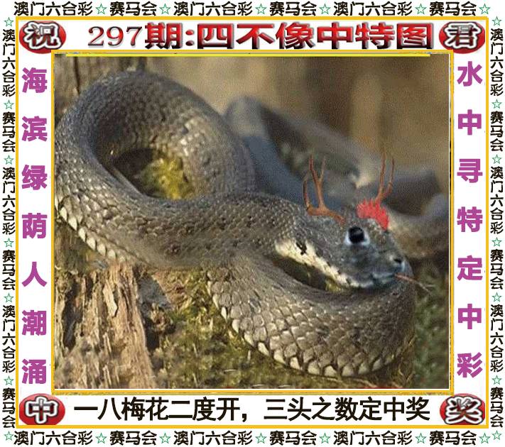 新澳门生肖彩