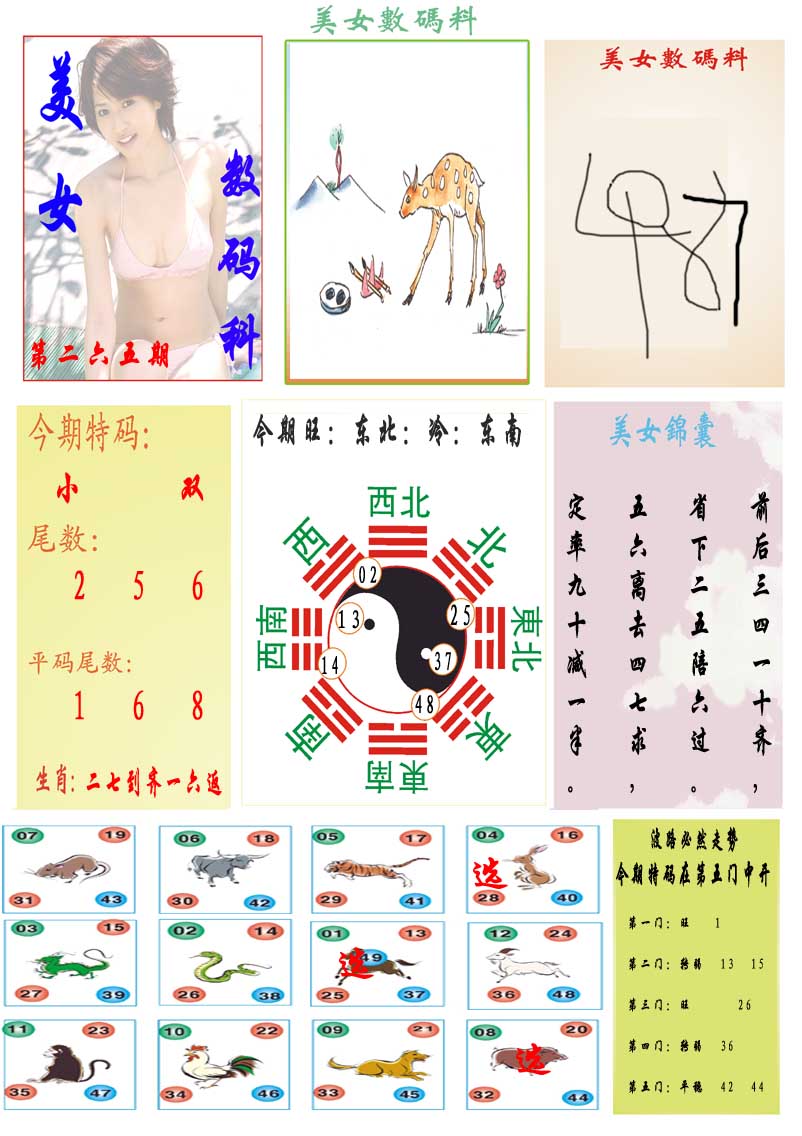 新澳门生肖彩