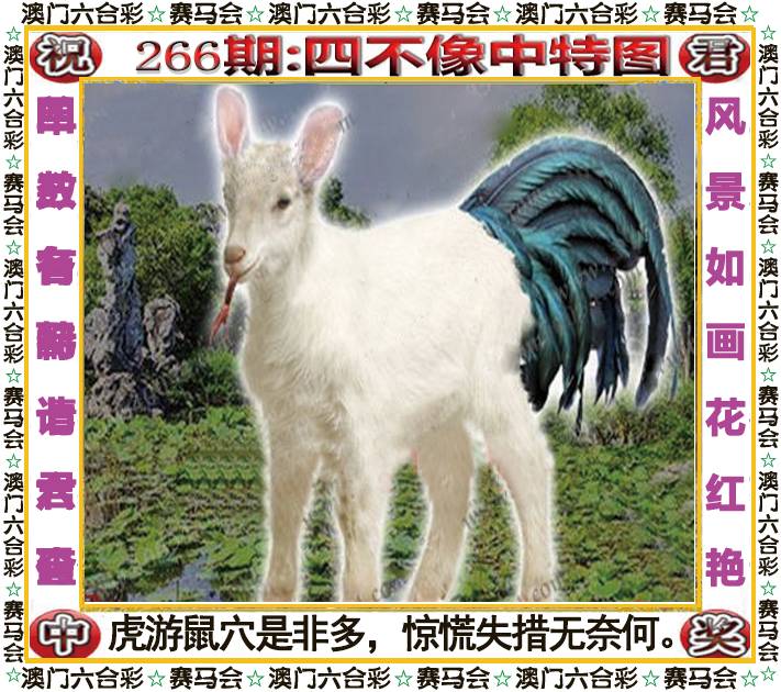 新澳门生肖彩