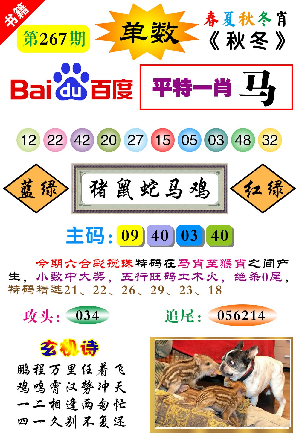 新澳门生肖彩