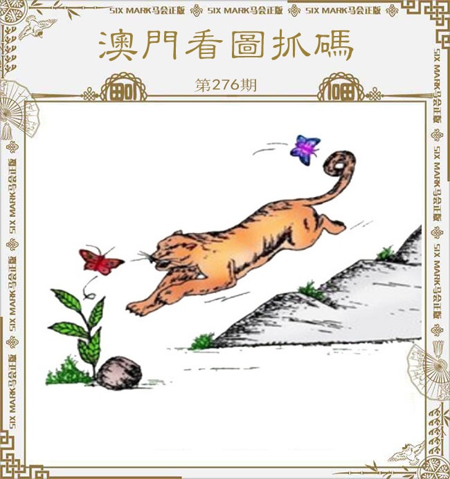 新澳门生肖彩