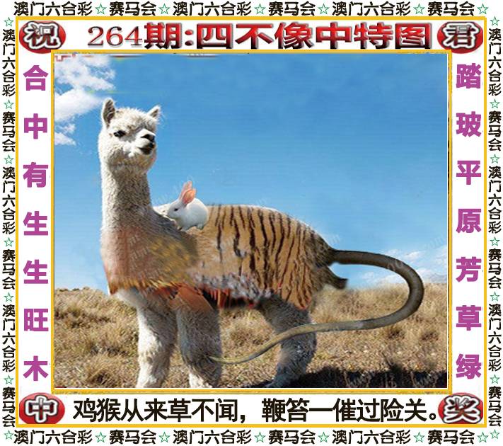 新澳门生肖彩