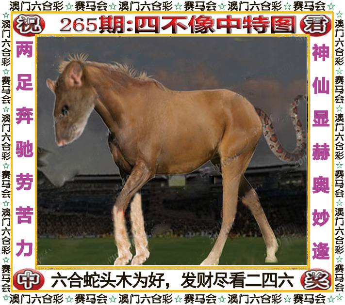 新澳门生肖彩