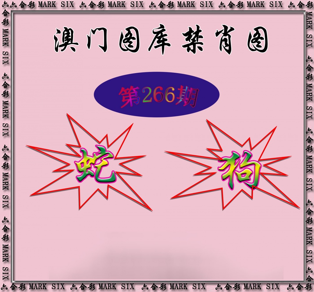 新澳门生肖彩