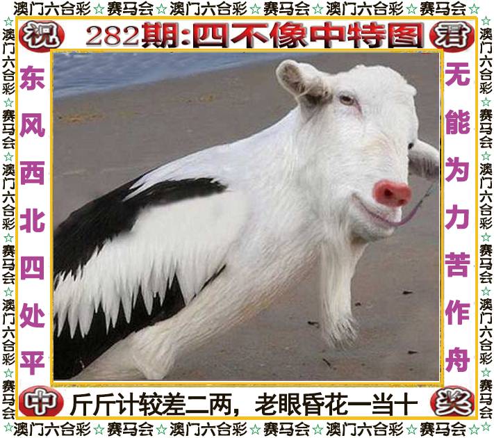 新澳门生肖彩