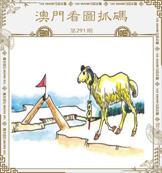 新澳门生肖彩