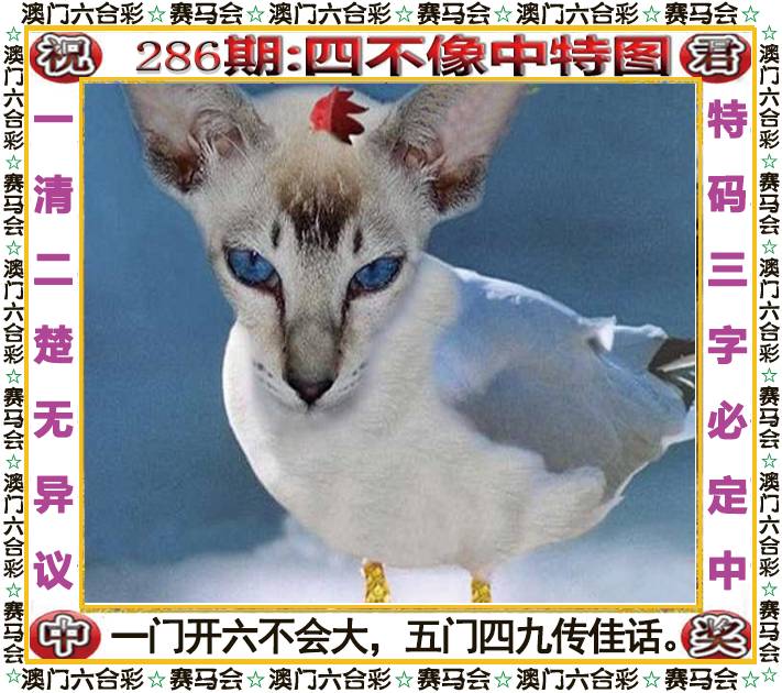新澳门生肖彩