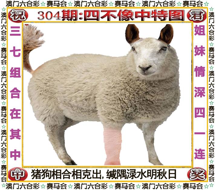 新澳门生肖彩