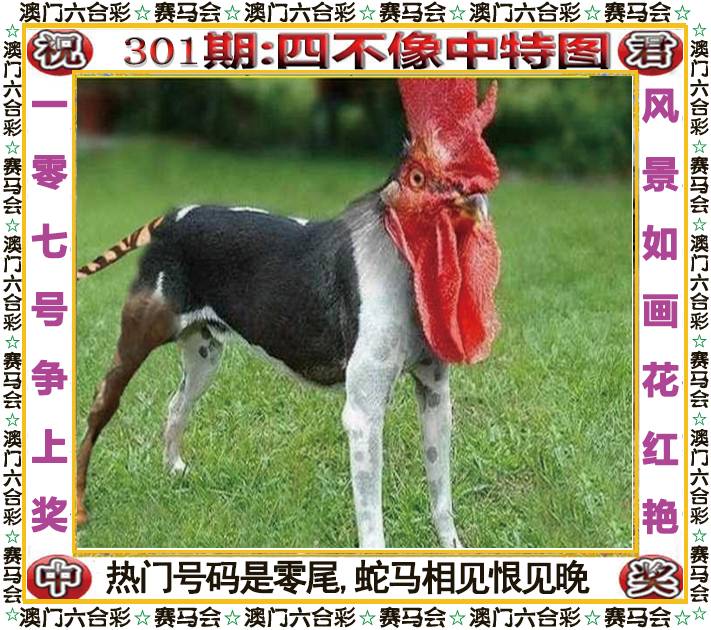 新澳门生肖彩