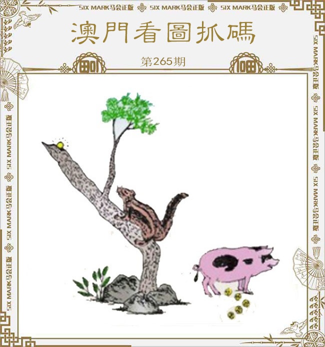 新澳门生肖彩