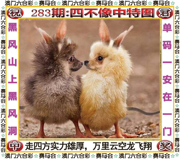 新澳门生肖彩
