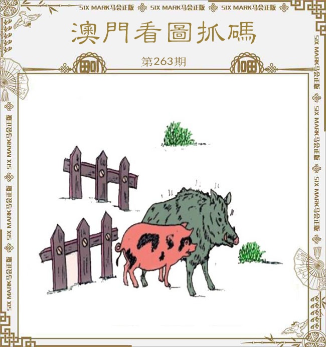 新澳门生肖彩