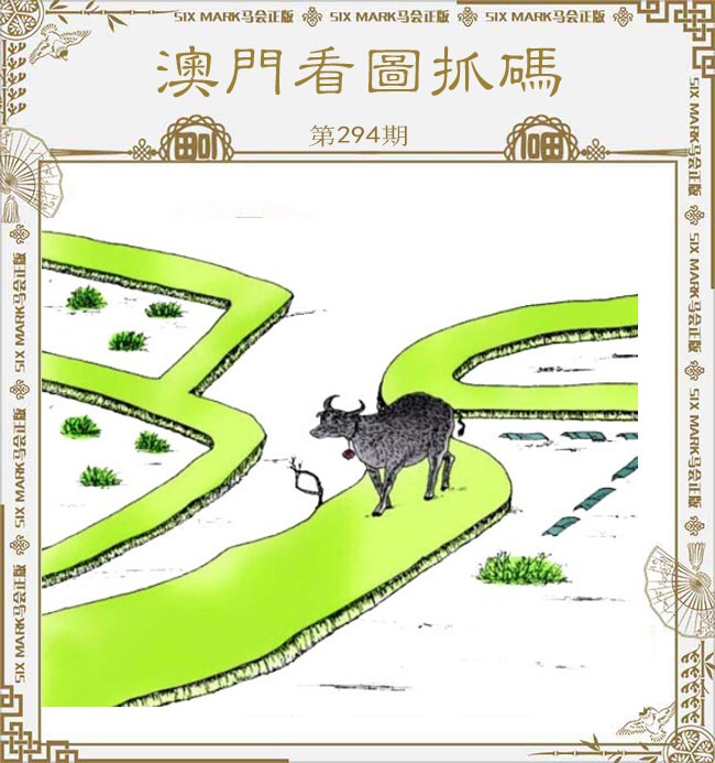 新澳门生肖彩