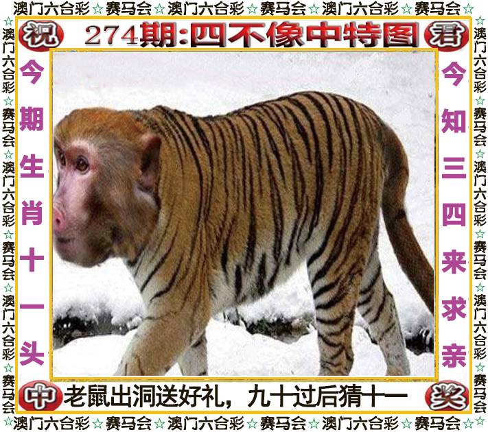 新澳门生肖彩