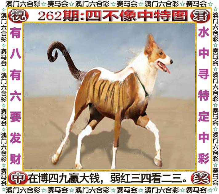 图片资料 27
