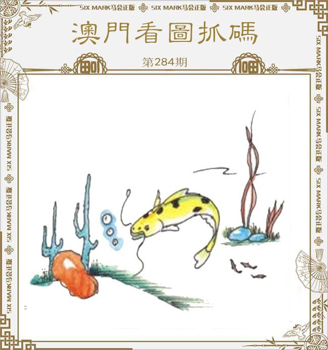 新澳门生肖彩