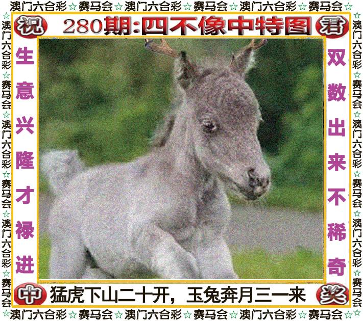 新澳门生肖彩