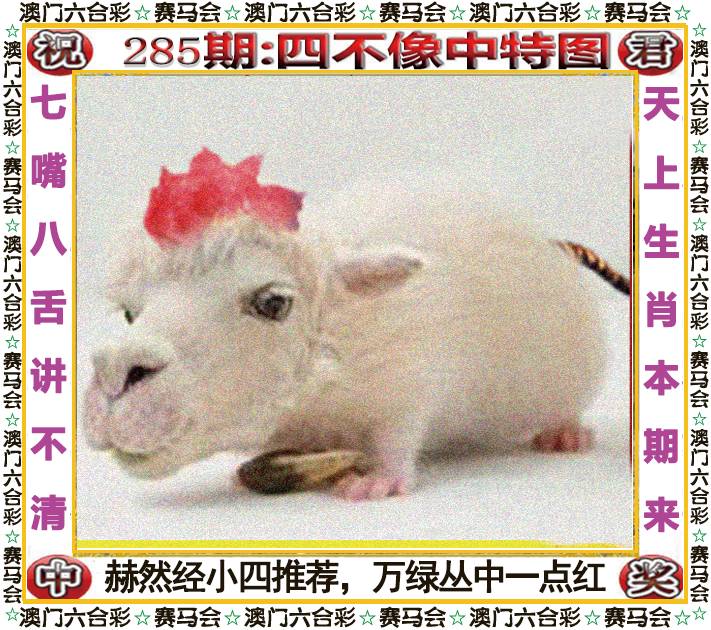 新澳门生肖彩